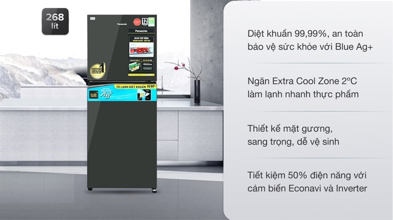 Tủ lạnh Panasonic Inverter 268 lít tổng thể