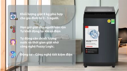 Máy giặt Toshiba 8 kg AW-M905BV(MK) - THÁI LAN