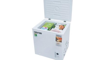 Alternative view of Tủ đông Hoà Phát 66 lít HPF AN666