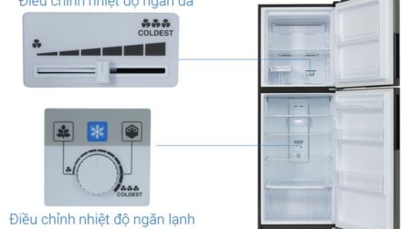 Alternative view of Tủ lạnh Sharp Inverter 360 lít SJ-XP382AE-DS - THÁI LAN
